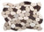 Venetian Pebbles in Multi Color 12" X 12" Flat Pebbles