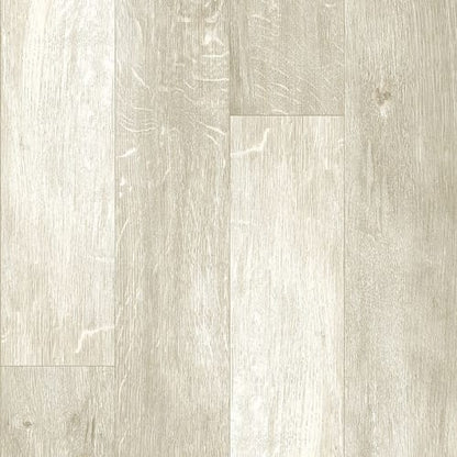 Bowman II in Warbler Oak