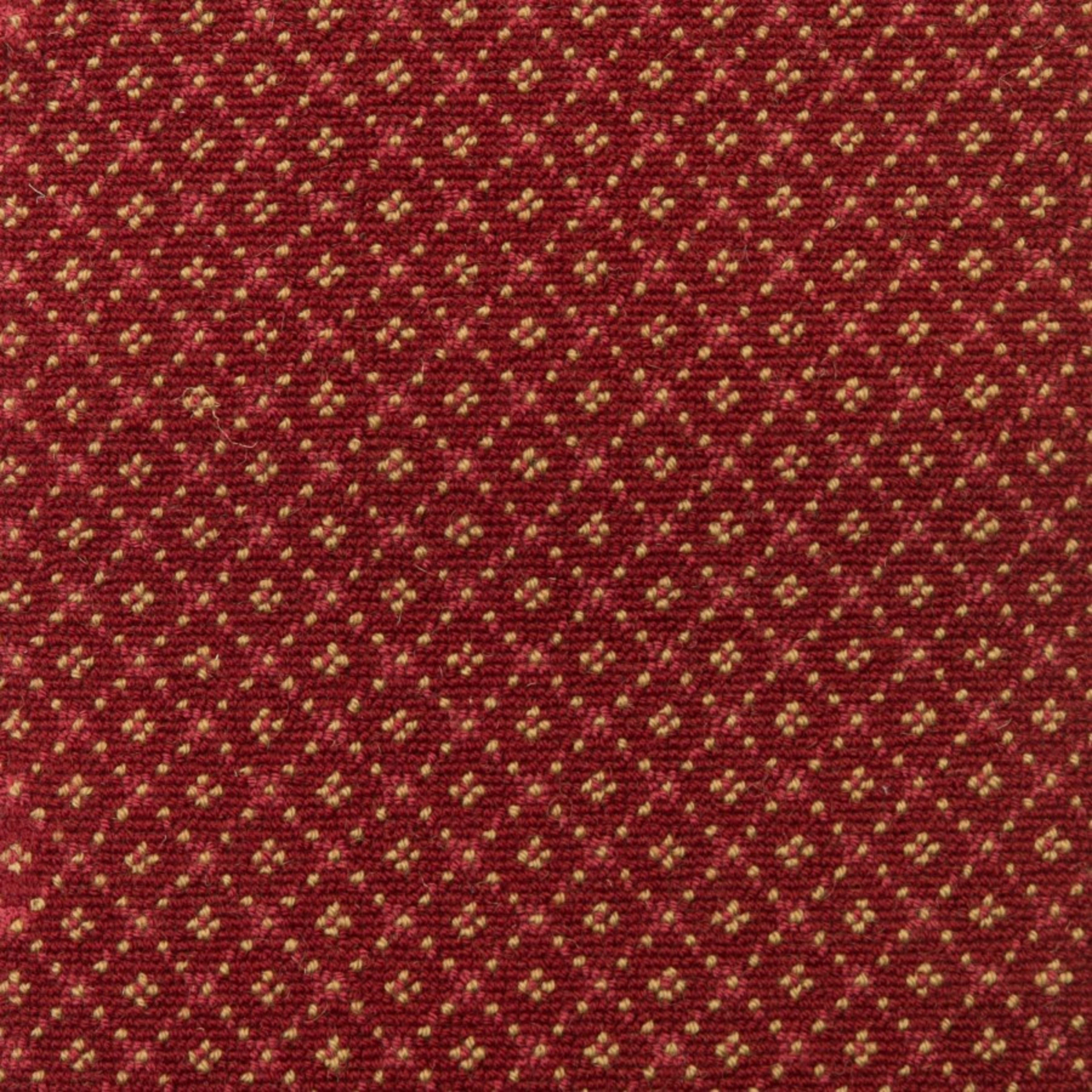 Winkleman in Crimson Carpet