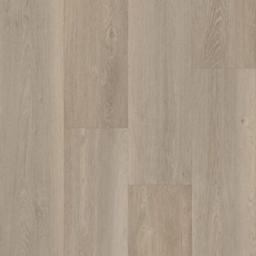 Prime XL 12 Collection