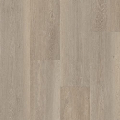 Prime XL 12 Collection