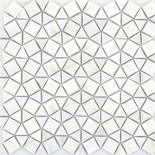 Emser Tile in Marble Winter Frost Natural Stone
