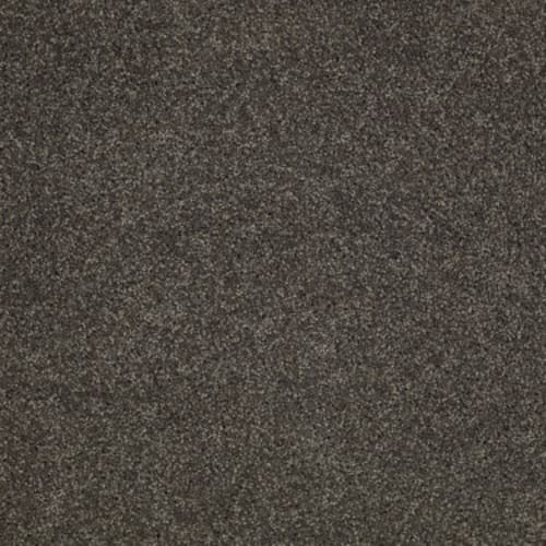 Serendipity I in Smoked Pearl Carpet
