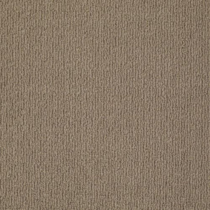 Casual Mood in Saddle Blanket Carpet
