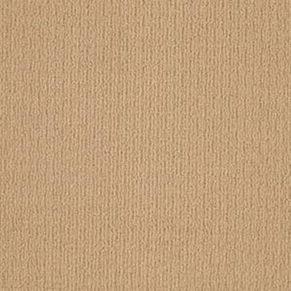 AHEAD OF TIME in Winter Wheat Carpet