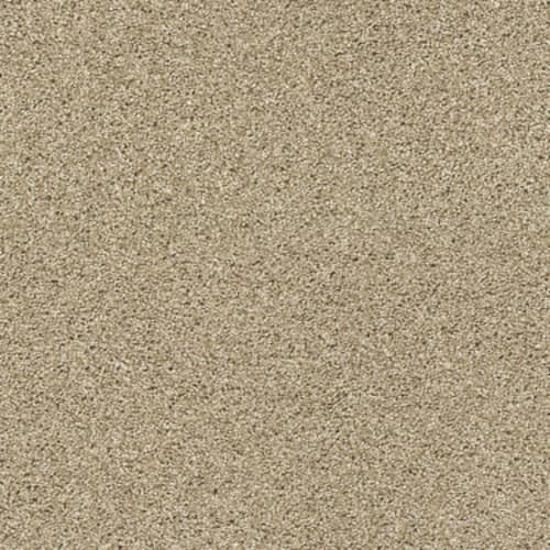 ACADIA PARK in Serengeti Carpet