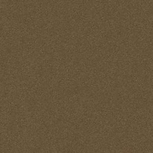 PERFECT CHOICE in Hearth Carpet