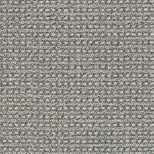 FETCH in Monument Carpet