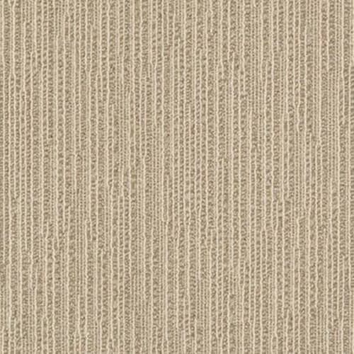 CHASE in Sesame Carpet