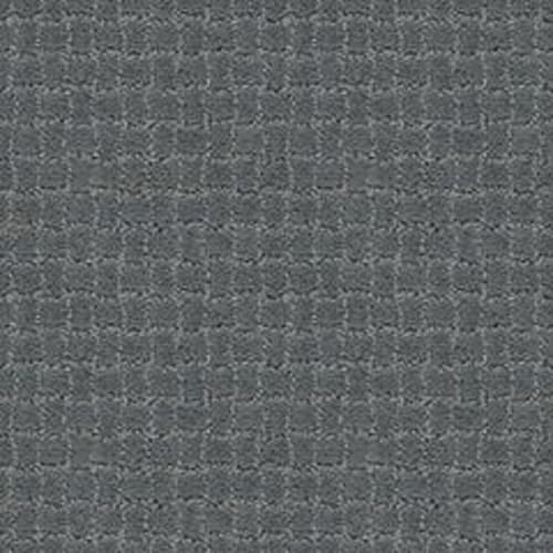 PAWSTRUCK in Steel Wool Carpet