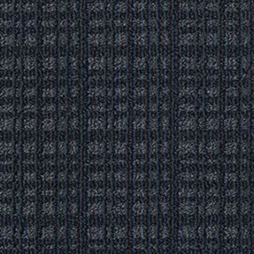 PURRSUASION in Leisure Carpet