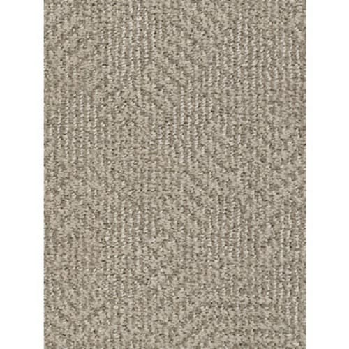 ARIO in Adobe Beige Carpet
